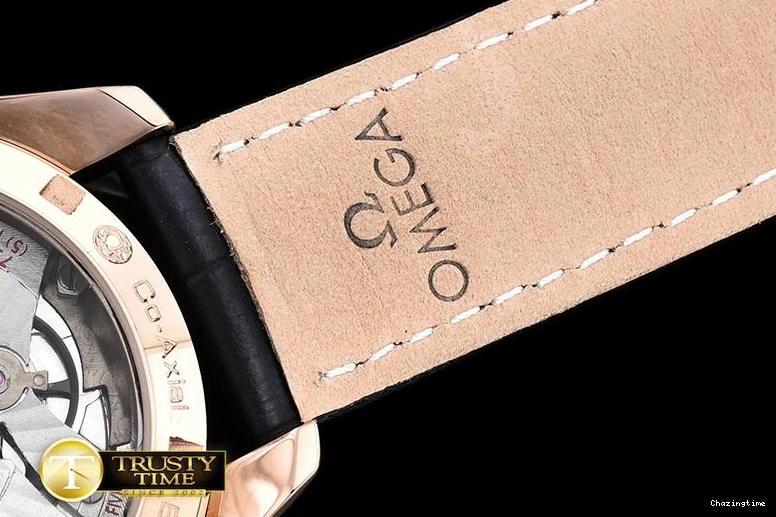 1102 OMG0464M – Aqua Terra 38mm